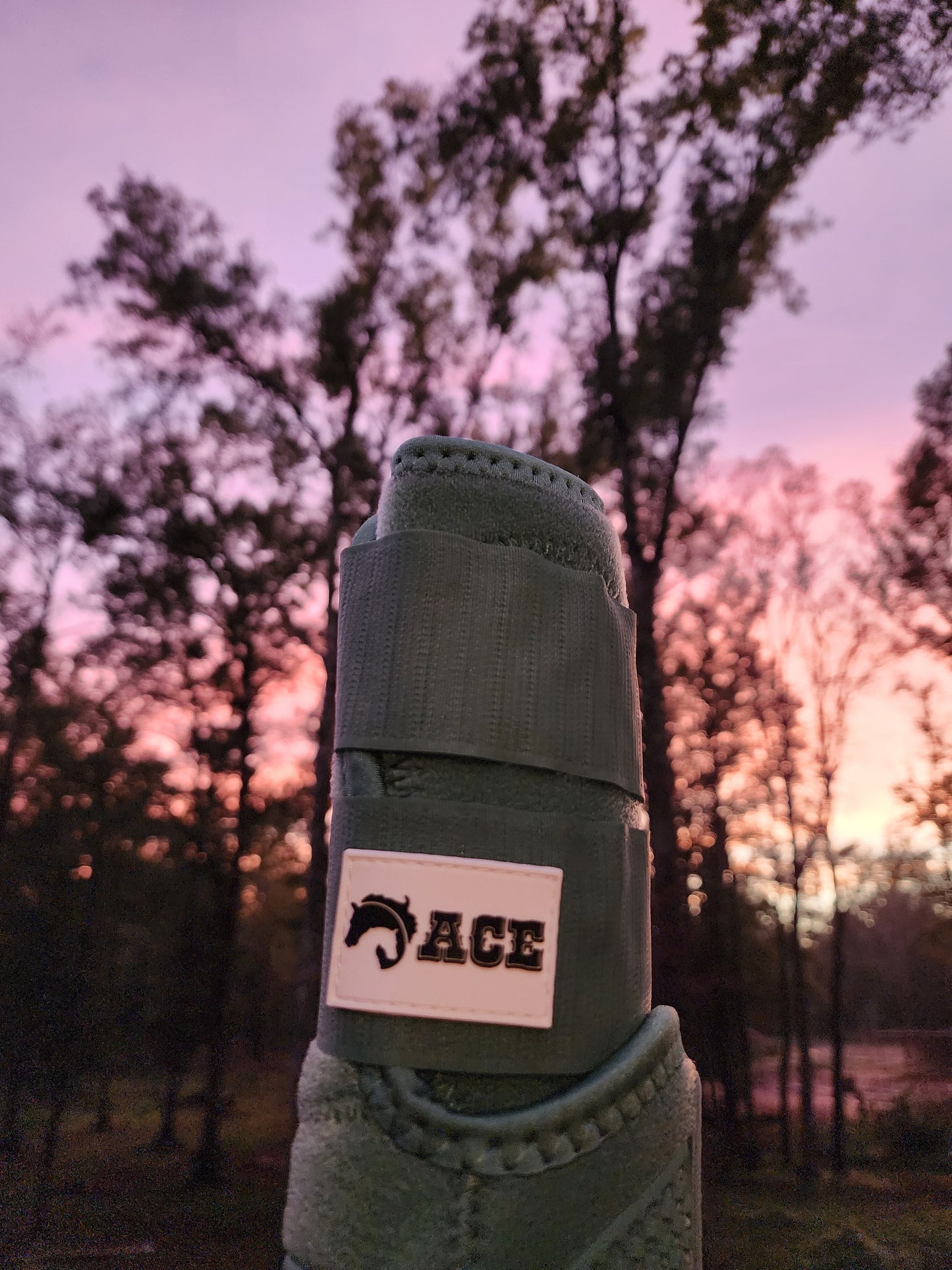 Front Splint Boots