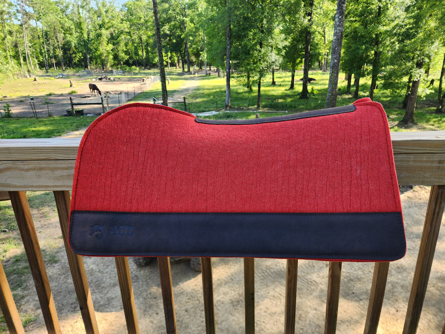 Wither Relief 30x30 1 inch Saddle Pad